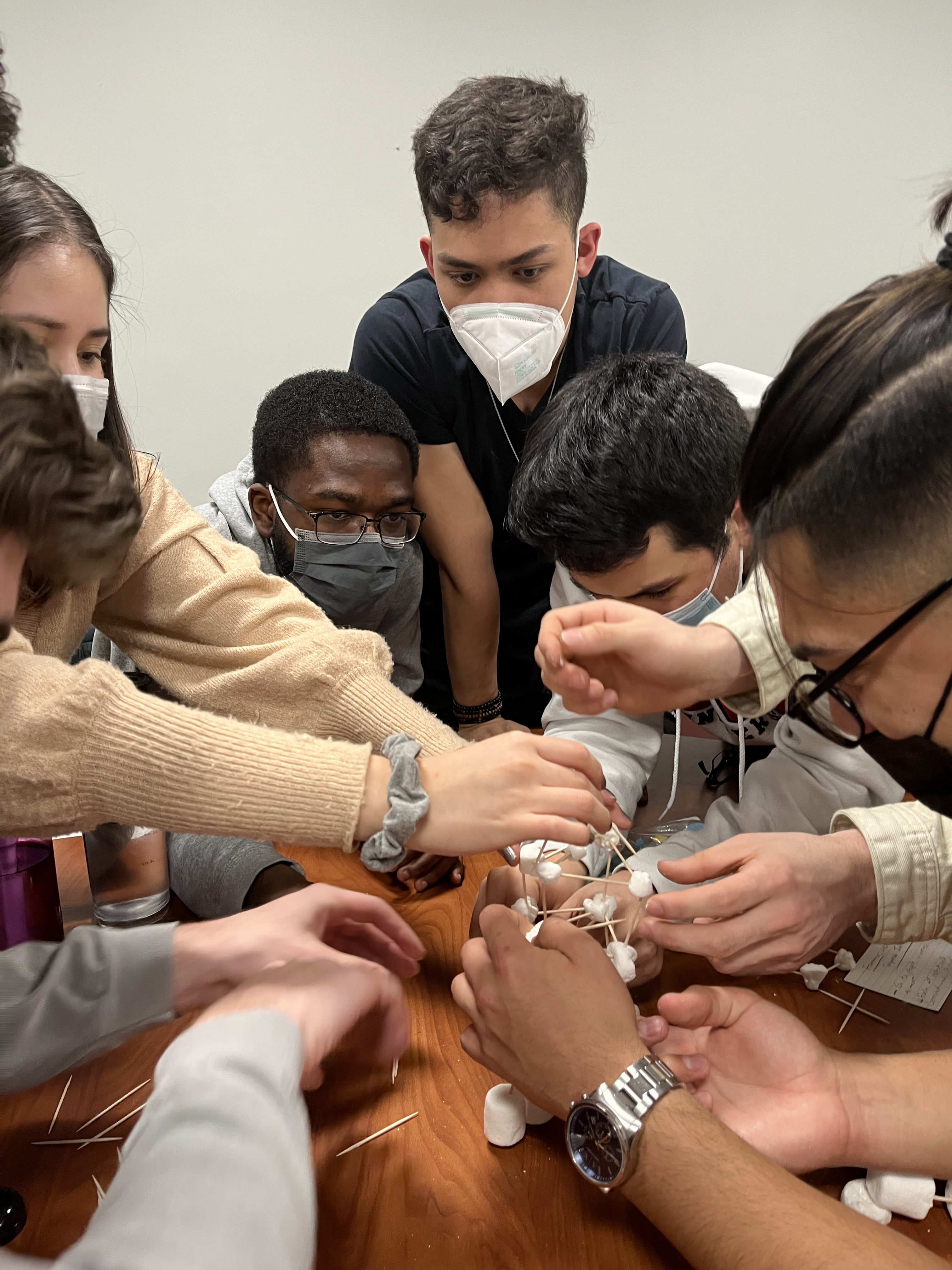 she members building a structure